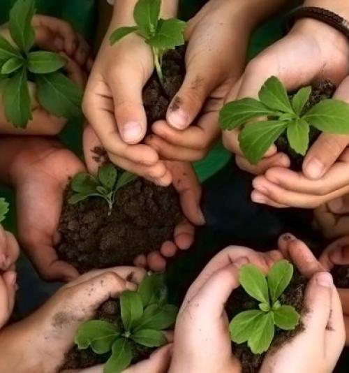 DOCÊNCIA NA EDUCAÇÃO AMBIENTAL DOCÊNCIA NA EDUCAÇÃO AMBIENTAL