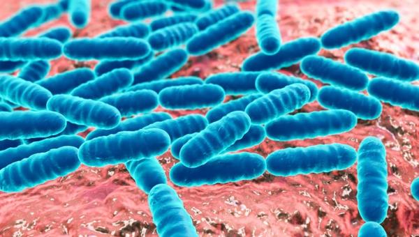MICROBIOLOGIA CLÍNICA