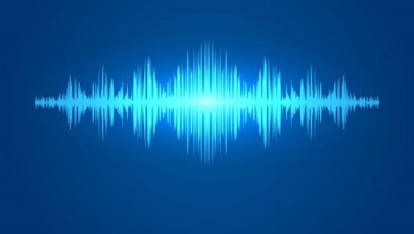 FUNDAMENTOS EM VOZ