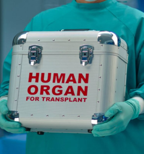 CAPTAÇÃO, DOAÇÃO E TRANSPLANTE DE ÓRGÃOS E TECIDOS CAPTAÇÃO, DOAÇÃO E TRANSPLANTE DE ÓRGÃOS E TECIDOS