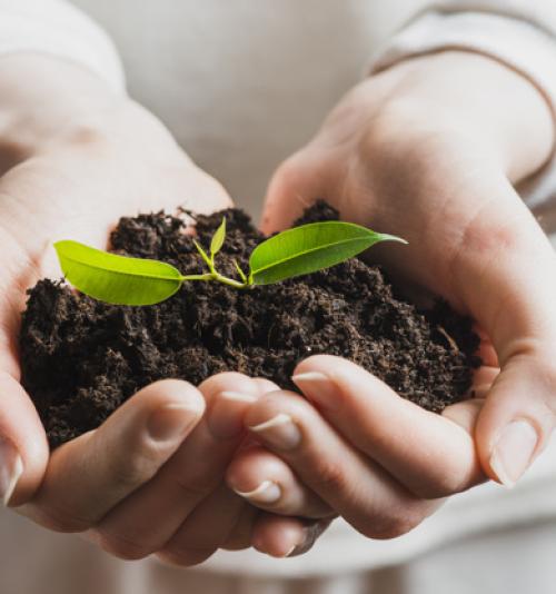 MEIO AMBIENTE E SUSTENTABILIDADE MEIO AMBIENTE E SUSTENTABILIDADE